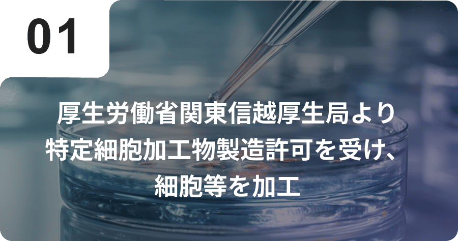 厚生労働省関東信越厚生局より特定細胞加工物製造許可を受け、細胞等を加工