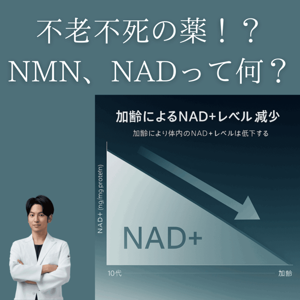 非公開: 不老不死の薬！？NMN、NAD＋って何？