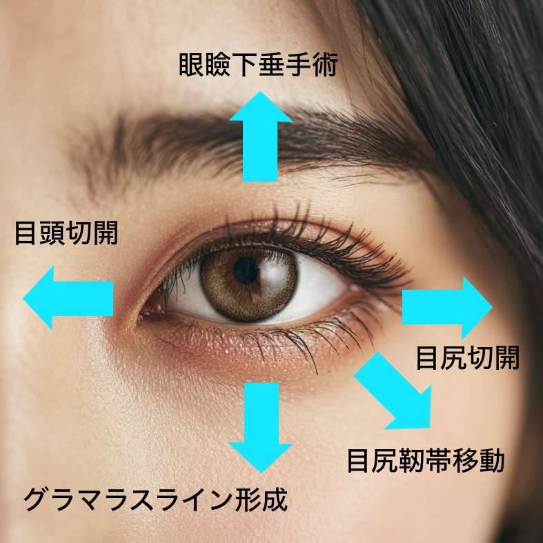 目は全方向に広げられる？目元の拡大術を徹底解説