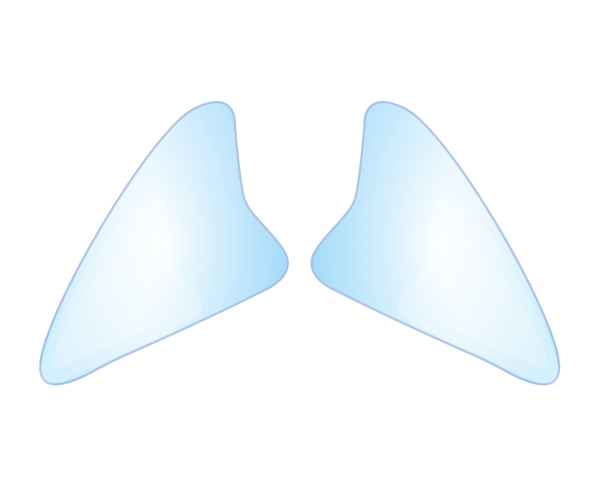 鼻翼基部／貴族手術とは<br />
