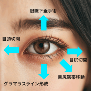 グラマラスライン形成 銀座・表参道にあるBIANCA CLINIC ビアンカクリニック｜美容外科・美容皮膚科・再生医療・美容婦人科・美容内科